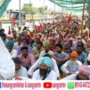 ਆਰਐੱਮਪੀਆਈ ਵਲੋਂ ਵੱਖ- ਵੱਖ ਥਾਵਾਂ ‘ਤੇ ਜ਼ੋਰਦਾਨ ਕੀਤੇ ਗਏ ਪ੍ਰਦਰਸ਼ਨ