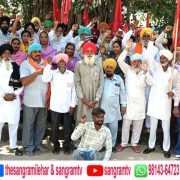 ਮਜ਼ਦੂਰ ਜਥੇਬੰਦੀਆਂ ਨੇ ਤਰਨ ਤਾਰਨ ਵਿਖੇ ਮੰਗ ਪੱਤਰ ਦਿੱਤਾ